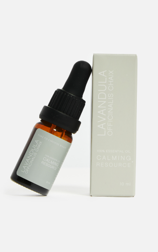 Lavandula Essential Oil